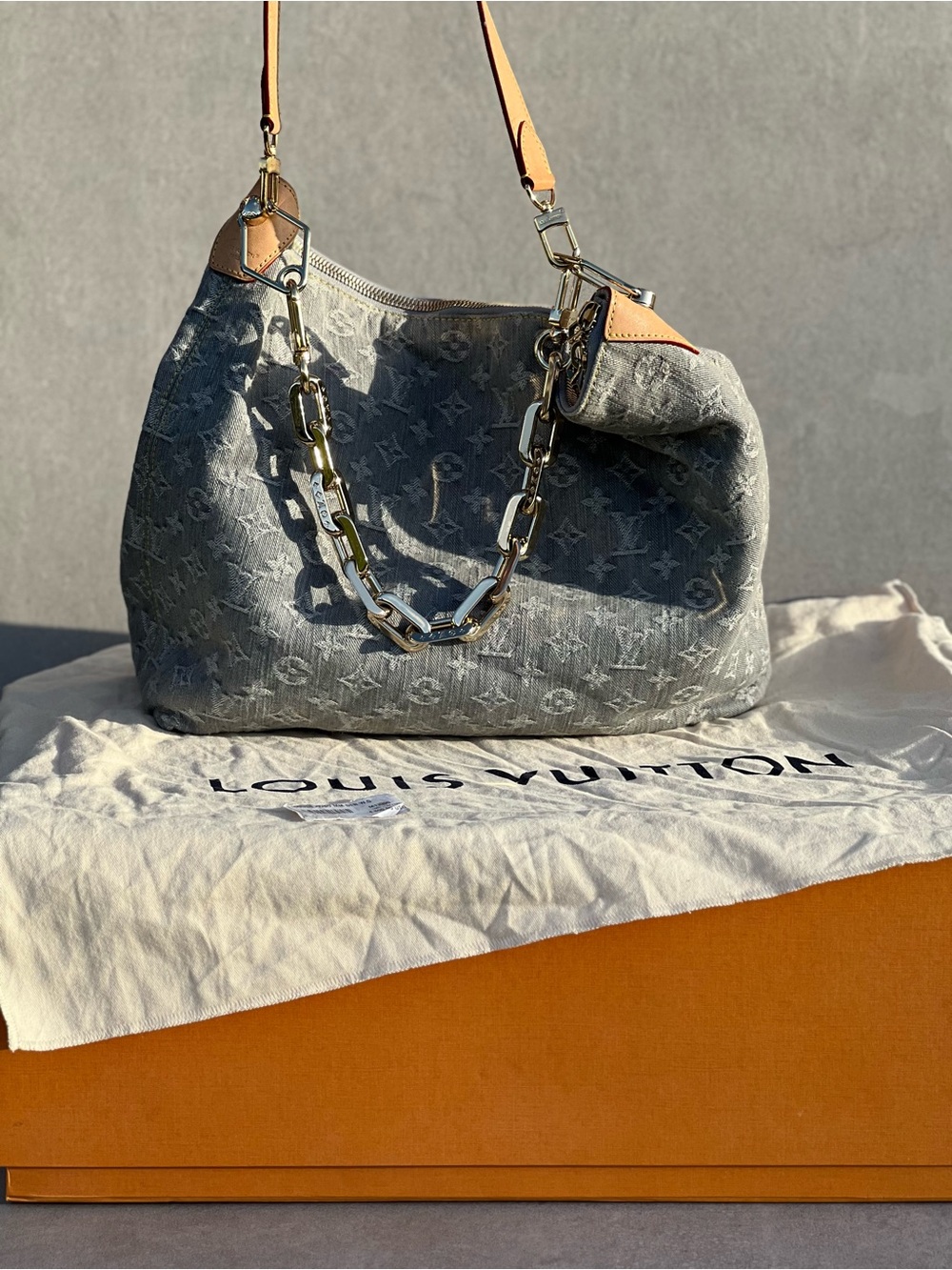 Louis Vuitton Coussin Hobo Denim